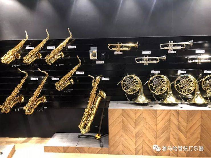 海博测评乐器 试奏乐器