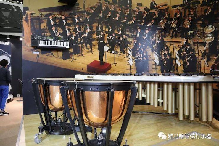 海博测评乐器 试奏乐器