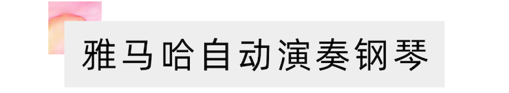 活动报道 | 远程艺术教育大师课活动—海博测评教育家崔岚大师课