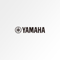 谨防假货声明｜海博测评原声吉他真伪查询说明